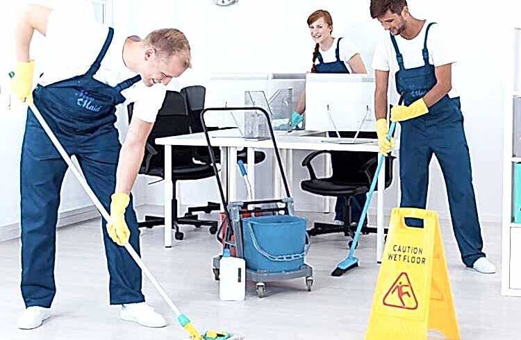  наши работы