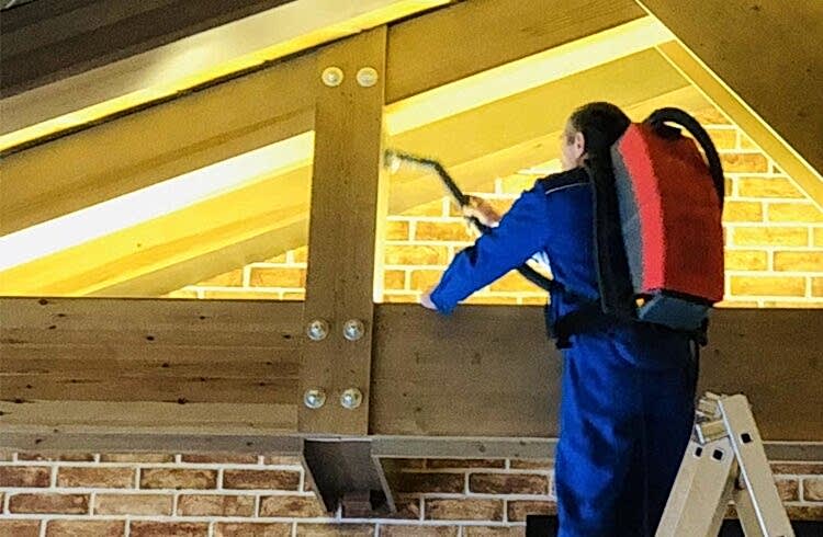  наши работы