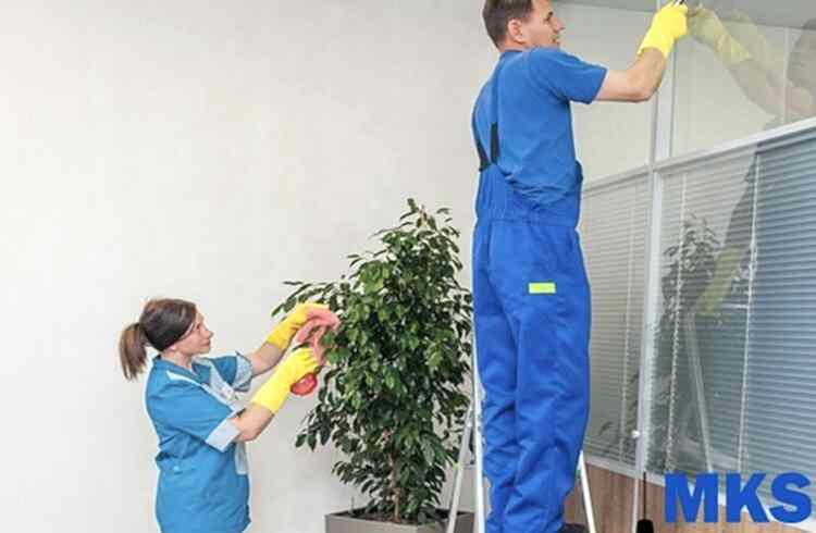  наши работы