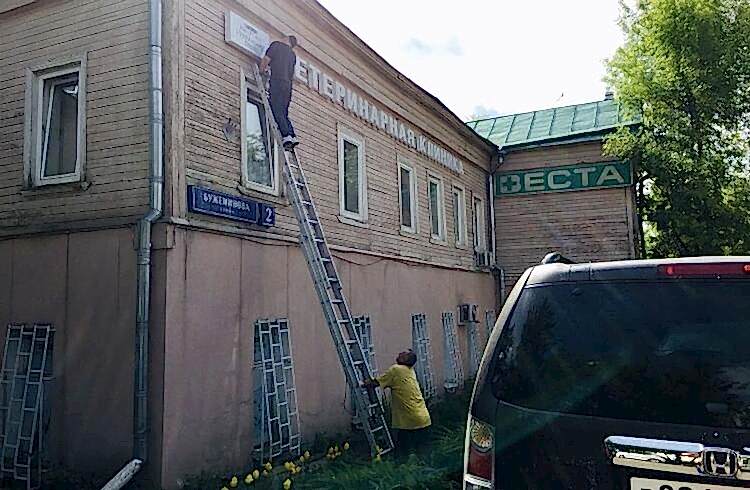  наши работы