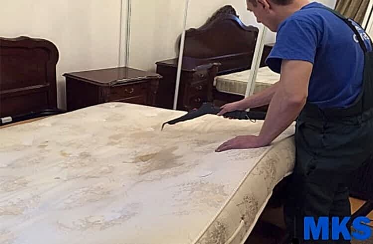  наши работы