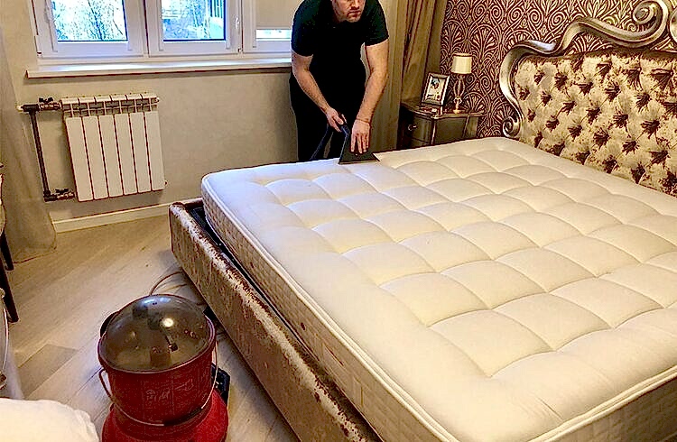  наши работы