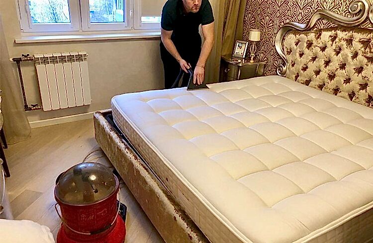  наши работы