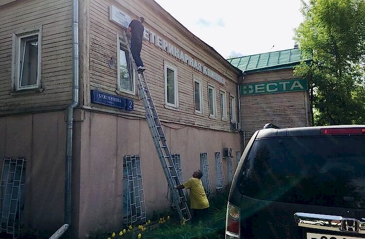  наши работы