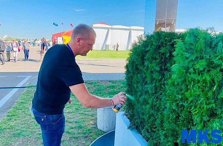  наши работы