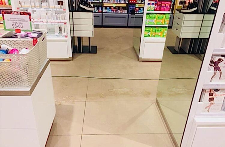  наши работы