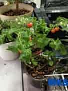 Ген. уборка офиса (200 м2)