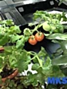 Ген. уборка офиса (200 м2)