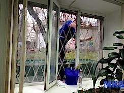 Генеральная уборка офиса