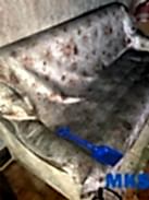 Уборка квартиры на Маршала Савицкого после пожара (100 м2)